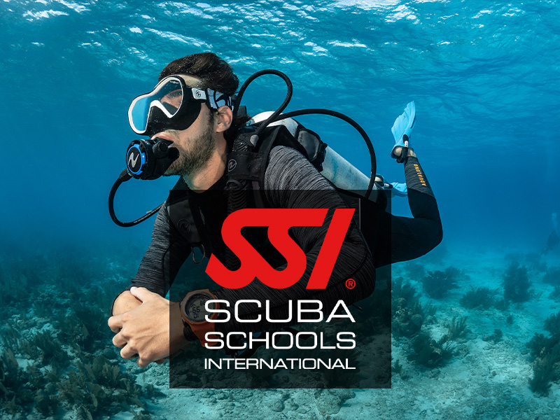 Tauchausbildung und Tauchkurse in Berlin Steglitz