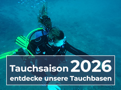 Tauchbasen bei Atlantis Berlin