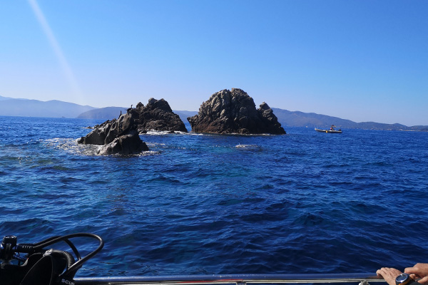 Tauchen auf Elba im Mittelmeer mit Aquanautic Elba