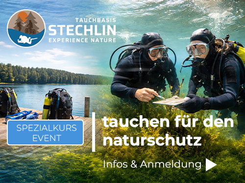 Zwei Taucher bestimmen Pflanzenarten unter Wasser