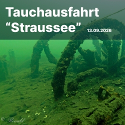 Tauchausfahrt zum Straussee 13.09.2026
