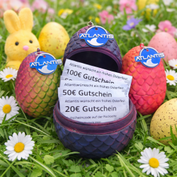 Osteraktion: Gewinne Gutscheine bis zu 100€