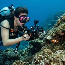 DiveVolk Querstrebe – Atlantis Berlin NEU