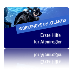 Aktuelle Workshops bei Atlantis Berlin